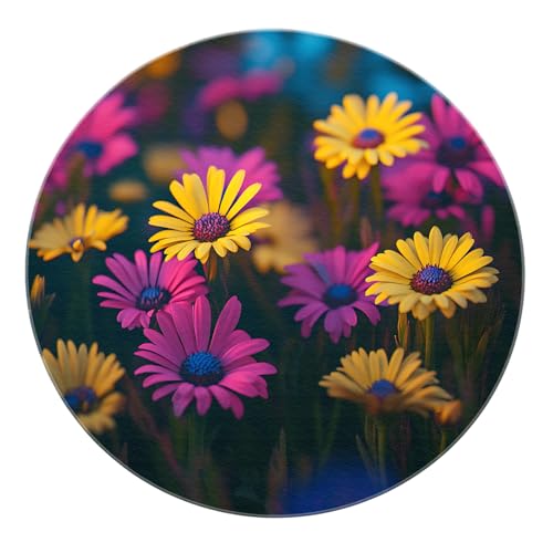 SHUODAOCO Frühling Garten Runder Teppich - Mehrfarbige Gänseblümchen Blütenteppiche Waschbare niedrigflorige Teppiche für Kinderzimmer Spielzimmer Eingangsbereich Wohnkultur 160cm von SHUODAOCO