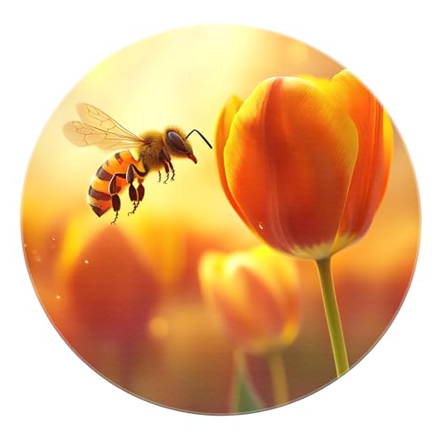 SHUODAOCO Garten Botanical Runde Teppiche - Biene Tulpe rutschfeste Teppiche Gelb Rot Matte für Eingangsbereich Wohnkultur Badezimmer Klassenzimmer Schlafzimmer Bar 60cm von SHUODAOCO
