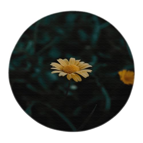 SHUODAOCO Gelbe Gänseblümchen Blumen Runde Bereich Teppiche 90cm - Boho Stil Waschbarer Schlafzimmer Runder Teppich Weicher niedriger Flor für Schlafsaal Nachttisch Kinderzimmer Büro Hotel von SHUODAOCO