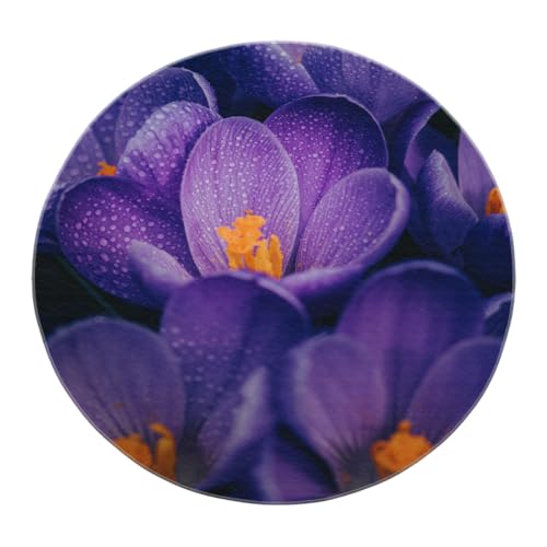 SHUODAOCO Lila Krokus mit Tautropfenmuster Zirkulärer Teppich 90cm - Vintage Stil Runde Bereich Teppiche Faltbar Weich rutschfest für Hotel Dorm Patio Sofa von SHUODAOCO