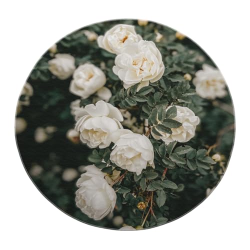 SHUODAOCO Minimalistischer Stil Low Flor Schlafzimmer Circle Teppiche 100cm - Weißes Rosenmuster Runder waschbarer Teppich rutschfest für Gästezimmer Flur Wohnkultur SHUODAOCO Minimalistischer Stil Low Flor Schlafzimmer Circle Teppiche 100cm - Weißes Rosenmuster Runder waschbarer Teppich rutschfest für Gästezimmer Flur Wohnkultur von SHUODAOCO