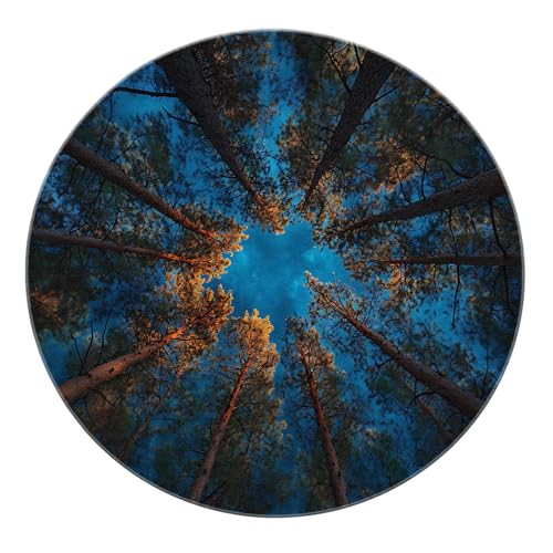 SHUODAOCO Moderner Wald Runde Bereich Teppich 180cm - Baldachin hoch aufragende Tres Sonnenlicht Strahlen weiche niedrigflorige waschbare Teppiche für Bauernhaus Küche Waschküche von SHUODAOCO