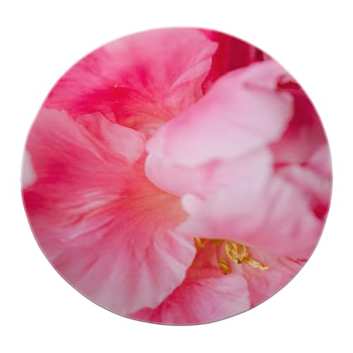 SHUODAOCO Romantische weiche Mädchen Schlafzimmer Kreis Teppich 160cm - Rosa Blumen Runde Bereich Teppiche Tragbar rutschfest für Wohnzimmer Balkon Nachttisch Hotel Cafe SHUODAOCO Romantische weiche Mädchen Schlafzimmer Kreis Teppich 160cm - Rosa Blumen Runde Bereich Teppiche Tragbar rutschfest für Wohnzimmer Balkon Nachttisch Hotel Cafe von SHUODAOCO