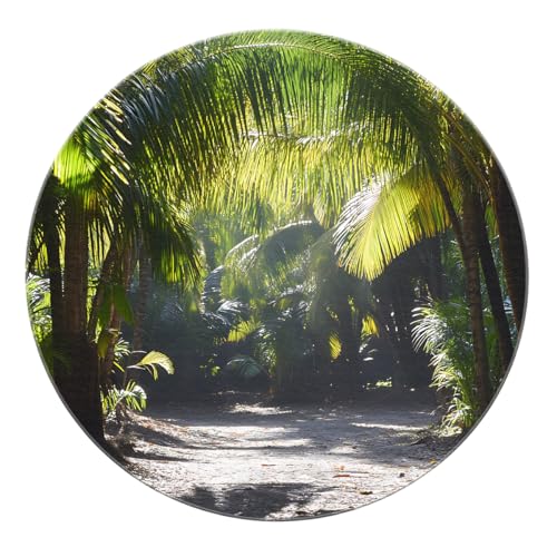 SHUODAOCO Tropical Palm Grove Path Runde Fläche Teppiche 90cm - Moderne waschbare rutschfeste weiche Kreismatte für Wohnzimmer Schlafzimmer Wohnkultur Bauernhaus von SHUODAOCO