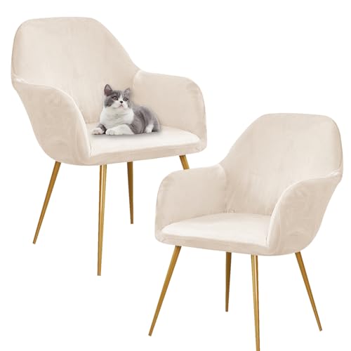 SHUOJIA Dining Velvet Chair Cover 2/4/6 Set Stuhlhussen mit Armlehne Stretch Stuhlbezug Abnehmbare Waschbar Stuhl Bezug Stuhlbezüge für Esszimmer Wohnzimmer Küche (Beige,6 Pcs) von SHUOJIA