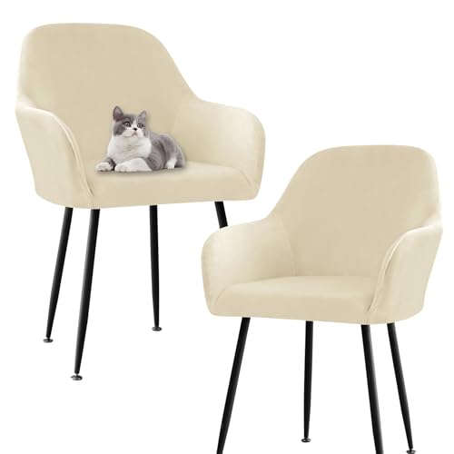 SHUOJIA Dining Velvet Chair Cover 2/4/6 Set Stuhlhussen mit Armlehne Stretch Stuhlbezug Abnehmbare Waschbar Stuhl Bezug Stuhlbezüge für Esszimmer Wohnzimmer Küche (Beige-2,6 Pcs) von SHUOJIA