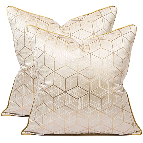 SHUSI Kissen Kissenbezüge Sofa Wohnzimmer Luxus Seide Kissenbezug Beige Champagner Gold Moderne 3D Geometrische Jacquard Dekorative Kissenbezüge, 2Pieces-50X50cm von SHUSI