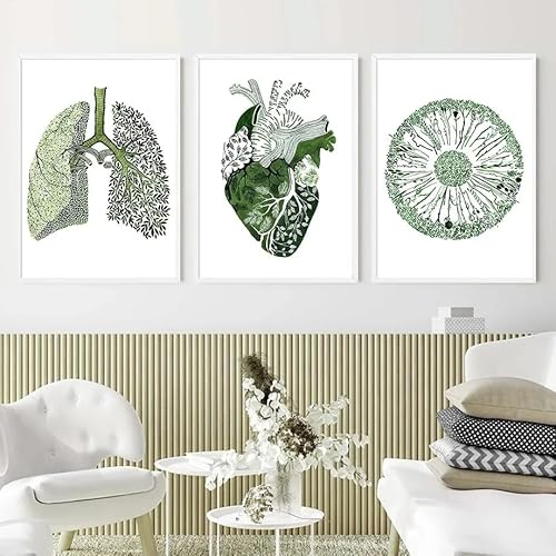 SHUYINGHENGXIE Grüne abstrakte Medizin Anatomie Nordic Poster und Drucke Wandkunst Leinwand Malerei Wandbilder für Klinik Dekor Kein Rahmen-30x40cmX3 von SHUYINGHENGXIE