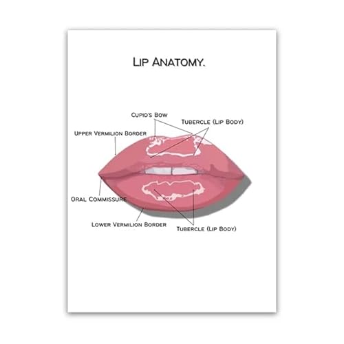 SHUYINGHENGXIE Menschliche Anatomie Gesichts Gehirn Muskel Gefäße Detaillierte Poster Wandkunst Leinwand Malerei für medizinische Bildung Home Decor Kein Rahmen-B_40x50cm von SHUYINGHENGXIE