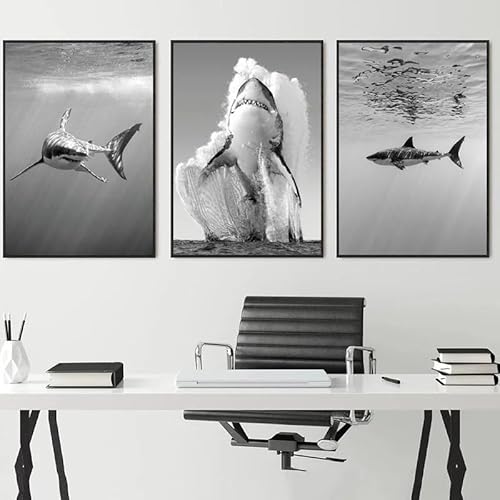 Tier Leinwand Malerei Schwarz Weiß Wand Kunst Hai Poster Drucke Natur Malerei Bild Büro Raum Home Decor Kein Rahmen-40x50cmX3 von SHUYINGHENGXIE