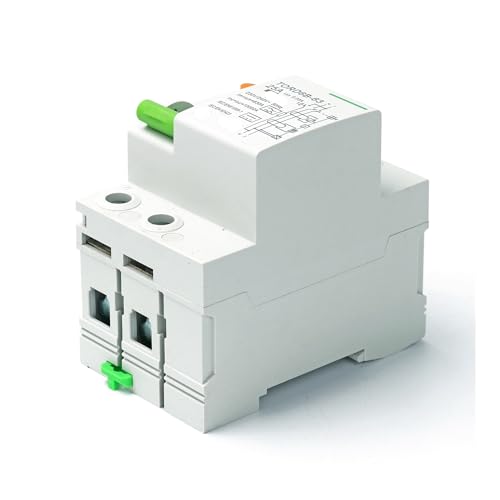 2P 63 Amp Typ B 10KA RCCB DC RCD 230V 400V 30mA Fehlerstromschutzschalter for Ladesäule(2Pole 100mA,6A) von SHYEGUMUZA