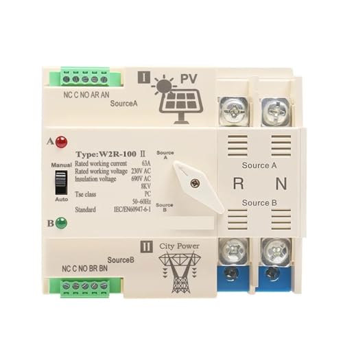 Automatischer Leistungstransferschalter, unterbrechungsfrei, DIN-Schiene, 2P Stromübertragungsschalter(2P 100A,PV 220V) von SHYEGUMUZA