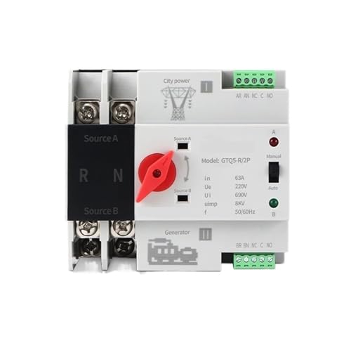Din Rail Dual Power Automatic Transfer Switch Mini ATS Elektrischer Wahlschalter Stromübertragungsschalter(2P,100A) von SHYEGUMUZA