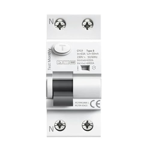 GYL9 B Typ RCCB Fehlerstromschutzschalter DC ELCB 2P 4P 40A 63A 30mA 100mA 300mA Typ B RCD Leckage 6KA(2 Pole,63A 300mA) von SHYEGUMUZA