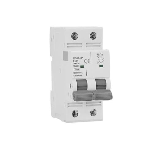 GYM9 kleine AC circuit breaker 125A luft schalter 1P 2P einzigen waschbecken überlast schutz(2P,100A) von SHYEGUMUZA