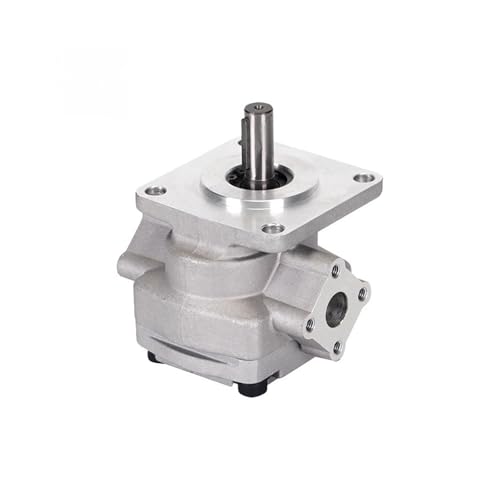 Zahnradpumpe(GPY-F10R) von SHYEGUMUZA