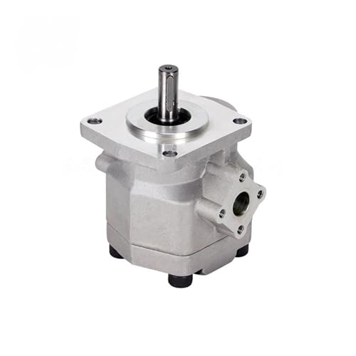 Zahnradpumpe HGP-2A-F2R bis F12R(HGP-2A-F8R) von SHYEGUMUZA