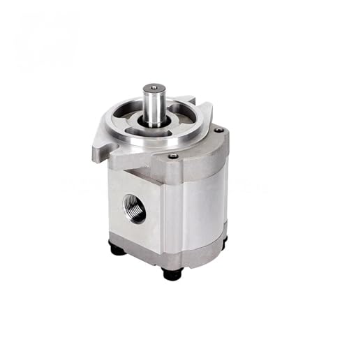 Zahnradpumpe HGP-3A(HGP-3A-F19R) von SHYEGUMUZA