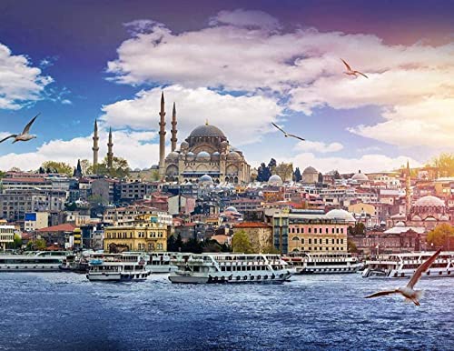 Kreuzstich Stickpackungen,Istanbul,11CT Kreuzstich Set Vorgedruckt,Stickbilder Vorgedruckt Kreuzstich für Wandkunst-Heimdekoration 40CMX50cm von SHYHXQH