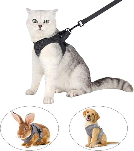 Ausbruchsicheres Katzengeschirr Set mit Katzenleinen, Verstellbares Katzengeschirr Ausbruchsicher, für Katzen Kitten Hunde Welpen(Grau -M) von SHYSBV