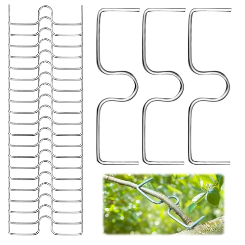 SHYSBV 30 Stück Astzieher Metall, M förmige Pflanzenklammern & Astspreizer 、Metall-Rankhilfe für Bambusgitter & Obstbäume für Gartenbäume Obstbaum Aste von SHYSBV