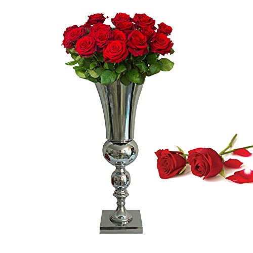 Deko vase Amphore Dekorative Verzierung Pokal 50cm Eisen Silber Farbe Vase Ideal zur Lagerung von Trockenblumen&Frische Blumen,Blumenvase Deko Wohnzimmer, Schlafzimmer von SHZICMY