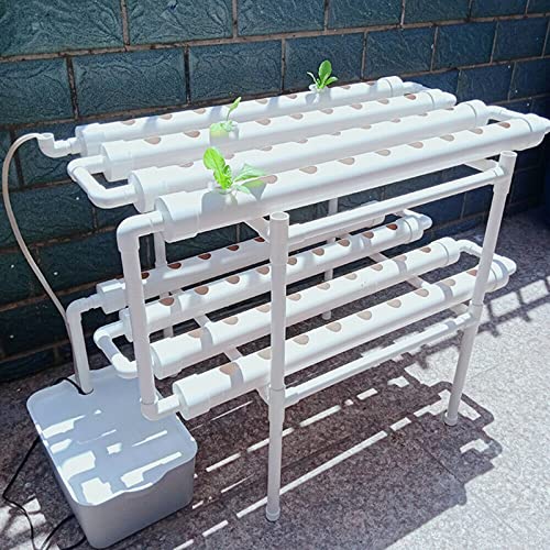 Hydroponic Grow Kit PVC Hydroponisches Anzuchtsysteme 2 Schichten 72 Löcher Hydroponisches System Grow Kit Erdlose Pflanzenanbau-Systeme Hydroponische Soilless Wasserkultur System mit Tauchpumpe Hydroponic Grow Kit PVC Hydroponisches Anzuchtsysteme 2 Schichten 72 Löcher Hydroponisches System Grow Kit Erdlose Pflanzenanbau-Systeme Hydroponische Soilless Wasserkultur System mit Tauchpumpe von SHZICMY