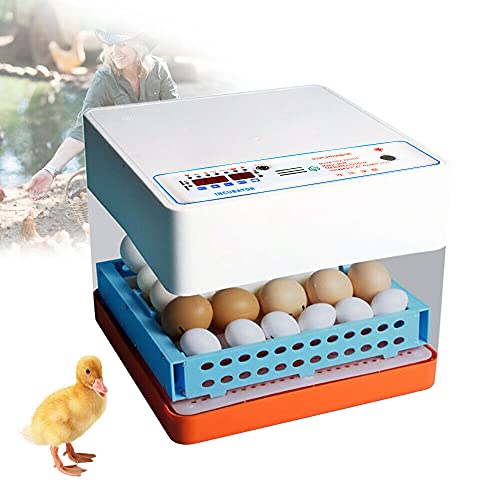 Mini-Eierbrüter Vollautomatische Brutmaschine Automatische Eierdrehfunktion LED Temperaturanzeige für Zucht von Hühnern, Enten, Gans, Tauben 24 Eier 50W von SHZICMY