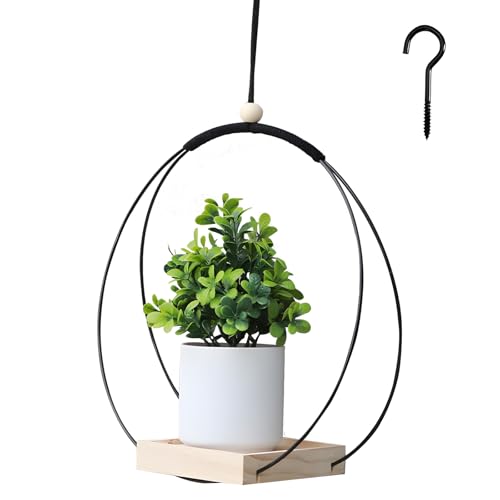 SI SEN Blumenampel mit Holzsockel, Hängender Blumentopf Innen, Hängetopf für Pflanzen, Aufhängehaken Inklusive, für Wände und Decken SI SEN Blumenampel mit Holzsockel, Hängender Blumentopf Innen, Hängetopf für Pflanzen, Aufhängehaken Inklusive, für Wände und Decken von SI SEN