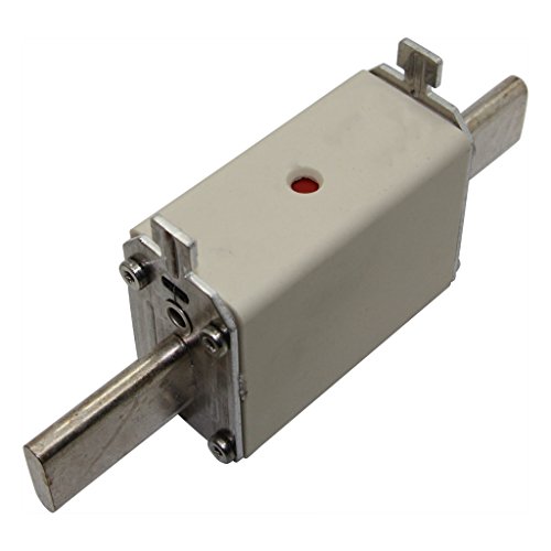 2000013.100 Sicherung: Schmelz gG 100A 500VAC 220VDC Keramik,Industrie SIBA von SIBA