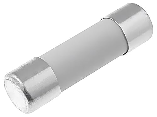 5X 179021.0,315 Sicherung: Schmelz schnell 315mA 250VAC Keramik,zylindrisch SI von SIBA