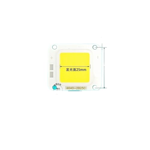 LED-Flutlicht 4046 Docht, nicht isolierter Antrieb, Vorschaltgerät, Lichtquelle, Projektionslichttransformator, nicht stroboskopisch, wasserdicht(2B25C white light 25w) von SIBBLE