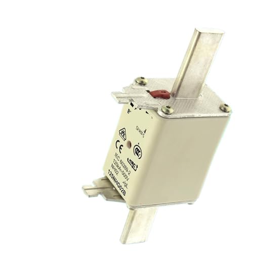 Sicherungsrohr 125NHG02B 125A100A80A63A50A40A35A NH02 120KA FD20GC100V40T(50NHG000B 50A Apricot) von SIBBLE