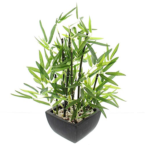 SIDCO Künstlicher Bambus Kunstpflanze Fensterdeko Zimmerpflanze Kunstbaum Deko Pflanze von SIDCO