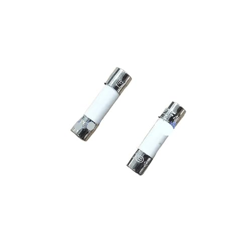 10 Stück Keramik-Flink-F/Langsam-T-Sicherungsrohr F1AH250V 500MA 630MA 800MA(F1AH250V fast melt) von SIDYEUHB