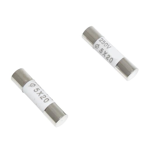 100 Stück RO54 Sicherung R054 Keramiksicherung 250V 5A 6A 10A 16A 20A 5X20mm(6A) von SIDYEUHB