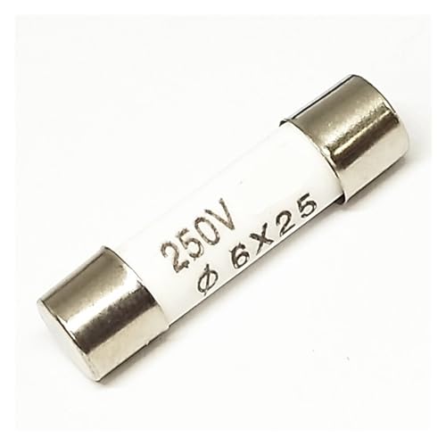 100 Stück RO57 Sicherung R057 Keramiksicherungsrohr 250 V 0,5 A 1 A 2 A 3 A 4 A 6 x 25 mm(2A100 pieces) von SIDYEUHB
