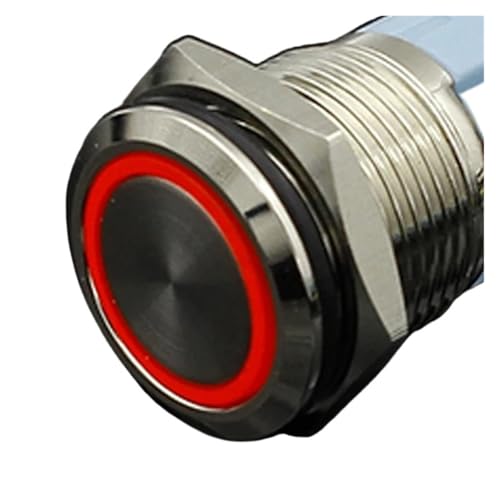 12/16/19/22mm Druckschalter LED-Licht 5V 12V 220V(Red,SELF-RESET_12V_19MM) von SIDYEUHB