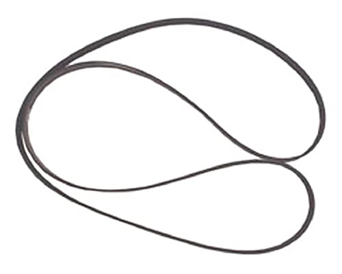 SERPENTINE BELT von SIERRA INTERNATIONAL INC.