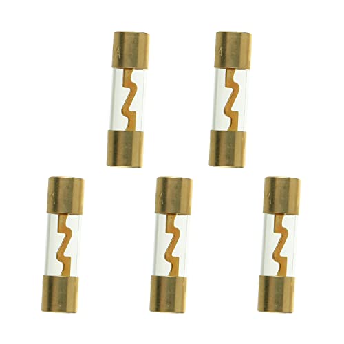 SIGANDG 20A AGU Sicherung vergoldetes Glas Car Audio für Auto Auto Marine Audio Stereo Verstärker Leistungsschutz (5er Pack) von SIGANDG