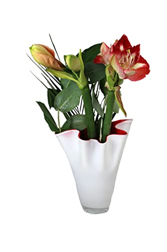 SIGNATURE HOME COLLECTION Glasvase rot weiß Blumenvase mundgeblasen 21 x 21 x 30 cm von SIGNATURE HOME COLLECTION