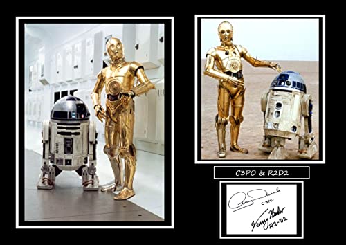 C3PO & R2D2 Kunstdruck mit Autogramm von Star Wars, A4, 29,7 x 21 cm von SIGNED BY THE STARS