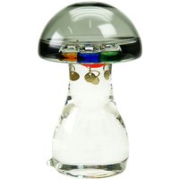 Galileo Graues Briefbeschwerer-Thermometer Grünes Thermometer – 14 x 9 x 9 cm - Signes Grimalt Galileo Graues Briefbeschwerer-Thermometer Grünes Thermometer – 14 x 9 x 9 cm - Signes Grimalt von SIGNES GRIMALT