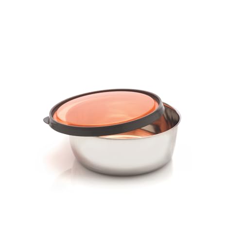 SIGNORA WARE Signoraware Eleganter Stahlbehälter, 625 ml, mehrfarbig von SIGNORA WARE