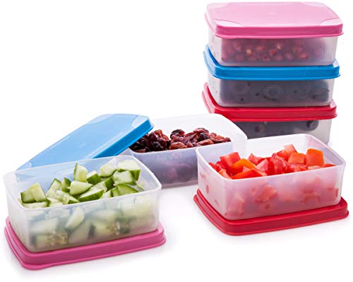SIGNORA WARE auslaufsichere Frischhaltedosen - Luftdichte, mikrowellengeeignete kleine Aufbewahrungsbox mit Deckel - Mini Camping Plastik Dosen Set für Soßen, Dips und Gewürze (145ml) von SIGNORA WARE