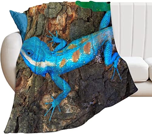 Kuscheldecke 150 x 200 cm 3D Blaue Eidechse Flanell Fleecedecke, Weich Warm Flauschig Decke Tier Wohndecke Decken für Sofadecke Couchdecke kuscheldecken für Kinder Erwachsene Kuscheldecke 150 x 200 cm 3D Blaue Eidechse Flanell Fleecedecke, Weich Warm Flauschig Decke Tier Wohndecke Decken für Sofadecke Couchdecke kuscheldecken für Kinder Erwachsene von SIGOMA