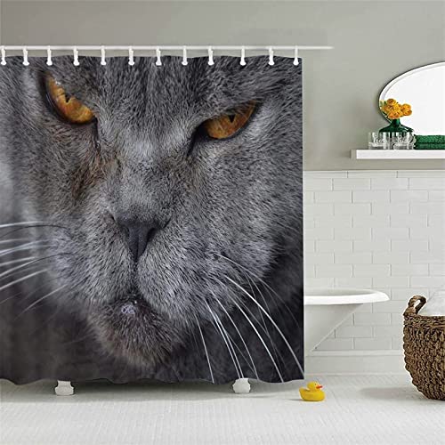 Duschvorhang 180x200 cm Blaue Katze, aus Stoff Polyester Waschbar Anti Schimmel Süße Tiere Shower Curtains, Duschvorhänge Curtains mit 12 Haken von SIHATE