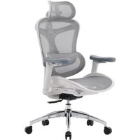 SIHOO Doro C300 Ergonomischer Bürostuhl mit ultraweichen 3D-Armlehnen, dynamischer Lordosenstütze für den Homeoffice-Stuhl, Verstellbarer SIHOO Doro C300 Ergonomischer Bürostuhl mit ultraweichen 3D-Armlehnen, dynamischer Lordosenstütze für den Homeoffice-Stuhl, Verstellbarer von SIHOO