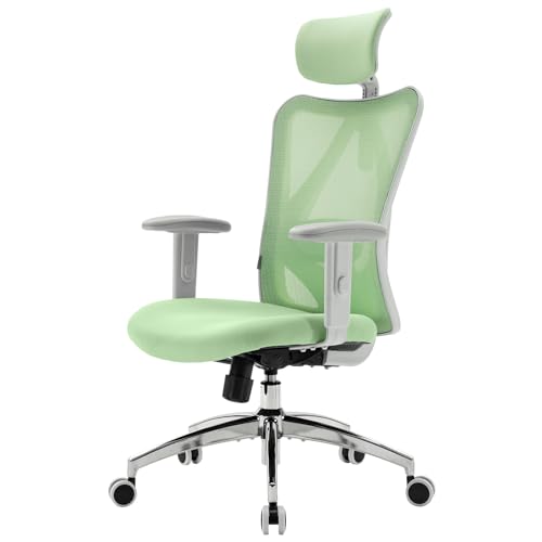 SIHOO M18 Bürostuhl ergonomisch, Computer-Schreibtisch Stuhl mit Verstellbarer Kopfstütze und Lendenwirbelstütze, hohe zurück Executive Drehstuhl für Home Office (Hellgrün) von SIHOO