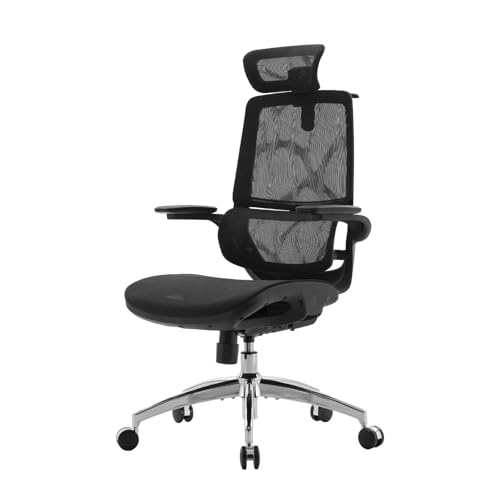 SIHOO M59AS Ergonomischer Bürostuhl mit 3D-koordinierbaren, hochklappbaren Armlehnen, Doppelsitzlehnen-Design und adaptiver Lendenwirbelstütze, Mesh-Schreibtischstuhl für das Homeoffice (Schwarz) von SIHOO